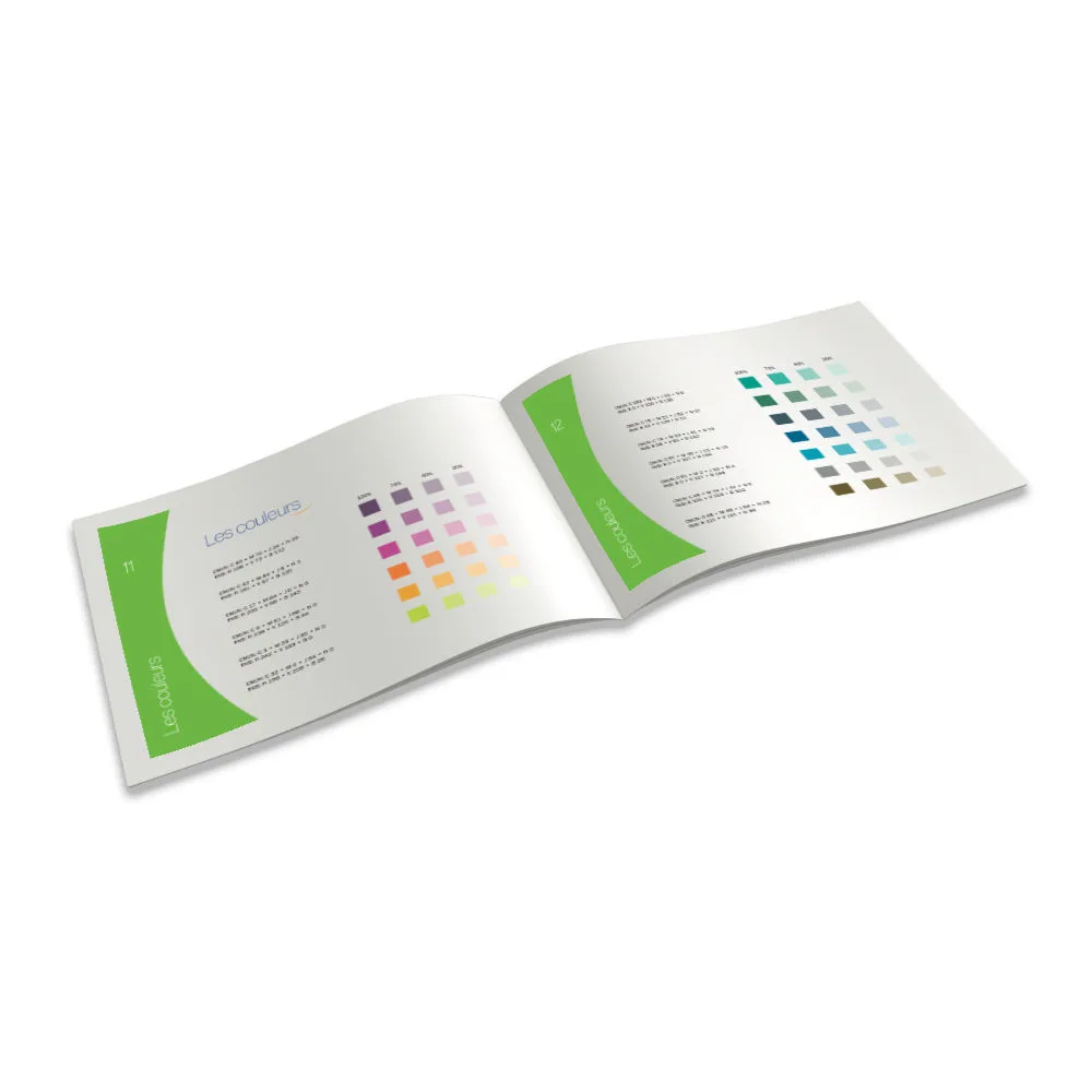 modèle charte graphique charte graphique professionnelle en Moselle